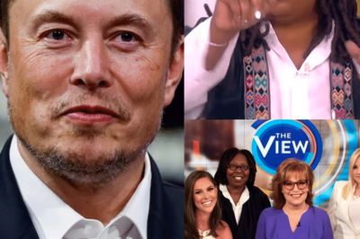 Elon Musk llamó a boicotear The View