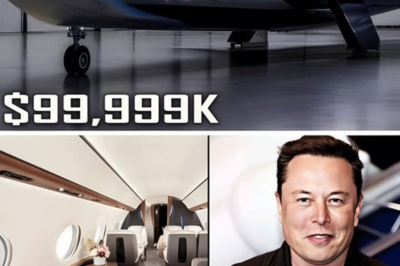El nuevo avión eléctrico de Elon Musk por 99.999 dólares sorprende a toda la industria.