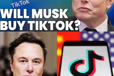 Elon Musk sorprende al mundo entero y TikTok no volverá a ser como lo conocíamos tras ser adquirido.