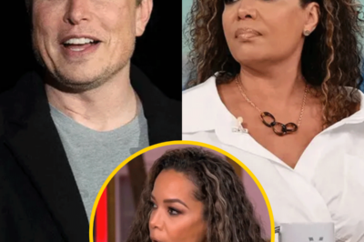 Sunny Hostin llama a Elon Musk “imbécil”