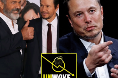 Mel Gibson y Mark Wahlberg se asocian con Elon Musk
