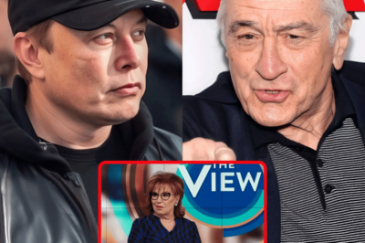 Robert De Niro defiende a Joy Behar y ataca a Elon Musk en The View