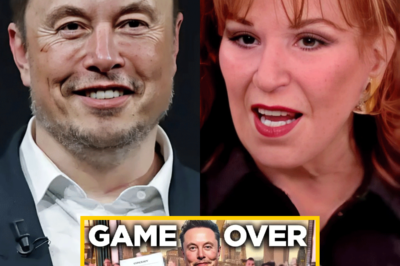 Elon Musk adquiere ‘The View’ por 900 millones