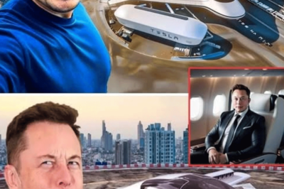 Elon Musk sorprende al mundo: el primer avión de Tesla surca los cielos.