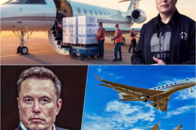 La vez que Elon Musk usó su jet privado para entregar suministros médicos