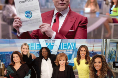 Elon Musk ha lanzado The View, el programa de televisión más depravado del mundo.