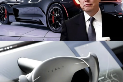 Elon Musk afirma que el Tesla Roadster