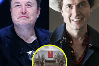 El hermano de Elon Musk vende repentinamente