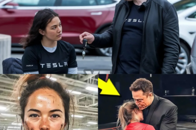 Elon Musk Descubre Que Una Empleada De Tesla Está Sin Hogar