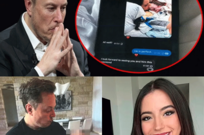 La madre del bebé de Elon Musk