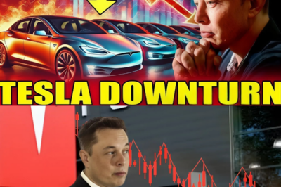 Tesla colapsa, Twitter está en caos y ahora 144.000 millones de dólares han desaparecido