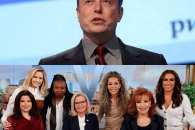 El ataque de Elon Musk a The View desata una polémica mediática