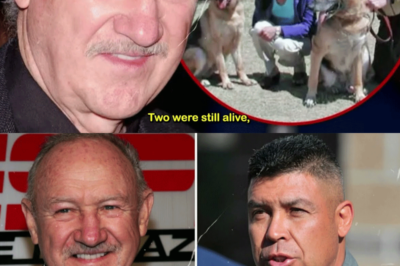 1 MINUTE AGO: Police REVEAL Who K*lled Gene Hackman…
