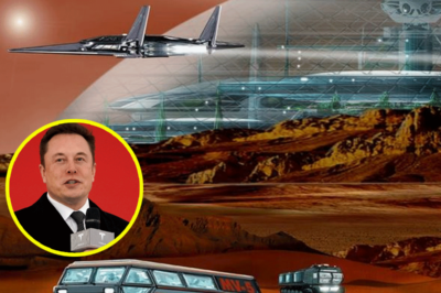 Elon Musk Afirma que es Solo Cuestión de Tiempo Antes de que la Humanidad se Expanda Más Allá de la Tierra