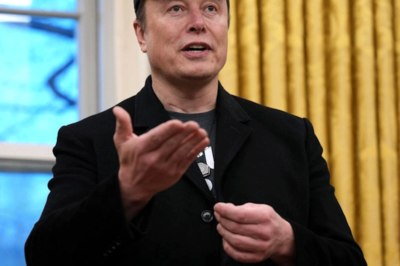 Elon Musk reportedly tells Republicans in private meeting that he is not responsible for DOGE firings