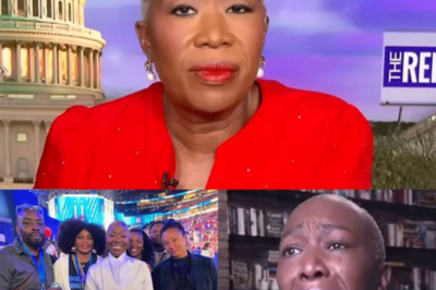 Joy Reid perdió los estribos y rompió el silencio después