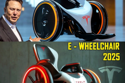 ¡La silla de ruedas de Elon Musk de 179 dólares por fin llegó al mercado! 7 características que valieron la pena esperar.