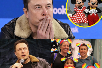 Elon Musk Cierra El Contenido De Orgullo De Disney En X