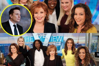 Elon Musk llamó a boicotear The View, calificándolo de “un lugar de encuentro para mujeres ignorantes”.