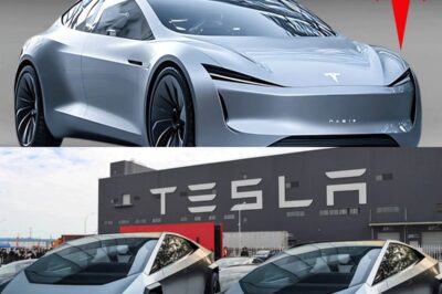 Elon Musk anunció que el Tesla Model 2, con un precio inferior a 22.000 dólares, se lanzará a finales de 2025.