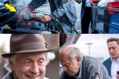 Un anciano sin hogar ayuda a Elon Musk