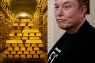 Elon Musk propone transmitir en vivo Fort Knox para que los estadounidenses puedan ver sus 147,3 millones de onzas troy de oro