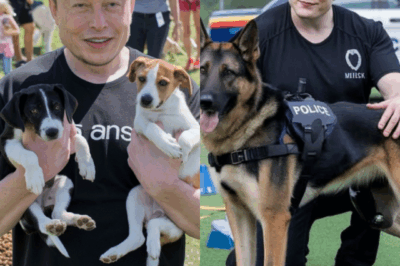 Elon Musk es el mejor amigo de un cachorro…