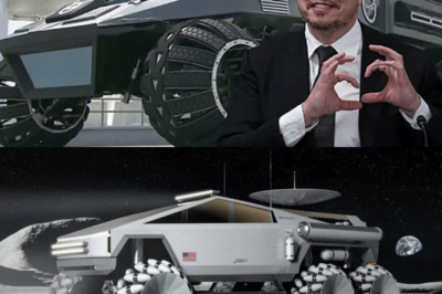La visión del CEO de Tesla, Elon Musk