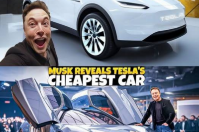 Elon Musk sorprende al mundo