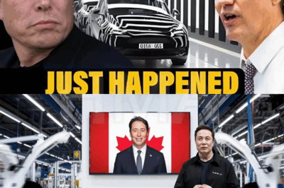 Los inversores de Tesla están sorprendidos por la decisión de Canadá de recortar el suministro de baterías ¡ADIÓS Elon!
