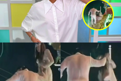 Galilea Montijo sufre accidente y critican a su novio por reírse en lugar de ayudarla: VIDEO