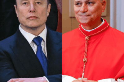 Elon Musk respalda al cardenal Robert Prevost como próximo Papa con un compromiso financiero sin precedentes