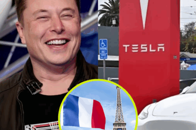 Últimas noticias: Francia toma la audaz decisión de cerrar Tesla y la industria automotriz estadounidense.