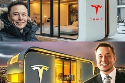 Se revela una minicasa Tesla de $7,579: libre de impuestos y escritura de propiedad.