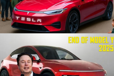 ¿El fin de China? La versión de prueba del Tesla Model 2 de Elon Musk, de 15.679 dólares, impacta a la industria