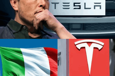 Hace 7 minutos: Italia toma la audaz decisión de cerrar Tesla…