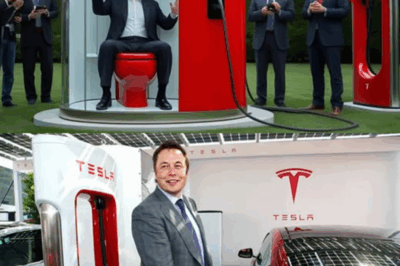 Elon Musk presenta el primer inodoro eléctrico Tesla de 6.000 dólares para familias estadounidenses