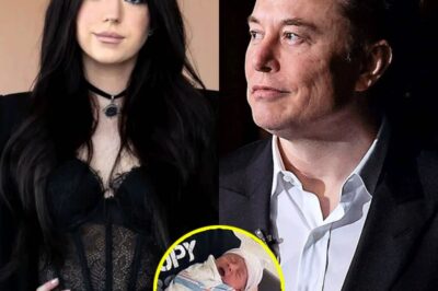 Elon Musk recorta el apoyo financiero para el hijo de Ashley St. Clair, indicando que no necesita al bebé.