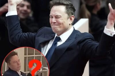 El comportamiento inusual de Elon Musk en la cena genera preocupaciones