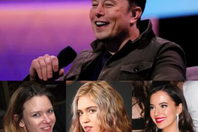 Todas las mujeres con las que Elon Musk tuvo hijos y lo que dijeron sobre su familia ensamblada