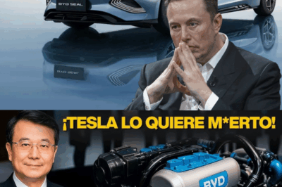 Elon Musk confirma que la nueva batería Blade de Byd de próxima generación para 2025
