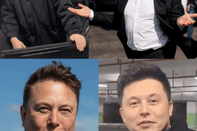 El gemelo perdido de Elon Musk ha sido encontrado.
