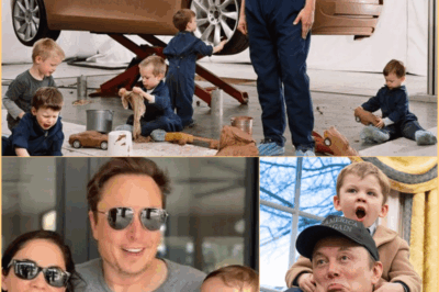La historia de paternidad de Elon Musk…