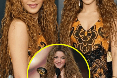 Shakira muestra su figura de 48 años con un vestido casi transparente