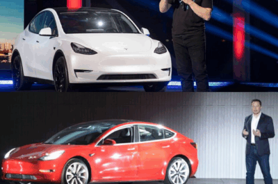 Elon Musk lanza un Tesla por solo 200 millones de dong.
