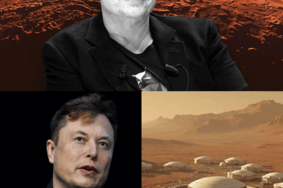 Elon Musk advierte: «Toda la vida en la Tierra acabará siendo aniquilada por el Sol».
