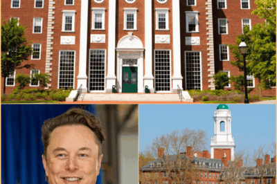 Elon Musk amenaza con construir su propia universidad tras criticar..