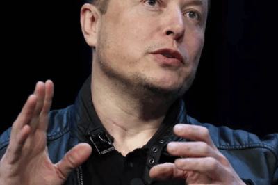 La ofensiva legal de Elon Musk obliga a OpenAI a detener la transferencia de ganancias de $40,000,000,000