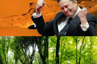 El plan de Musk para convertir el desierto en un bosque.