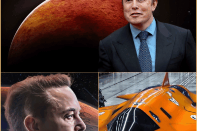 La misión de Elon Musk de llevar humanos a MARTE ha dado otro gran paso adelante cuando el multimillonario